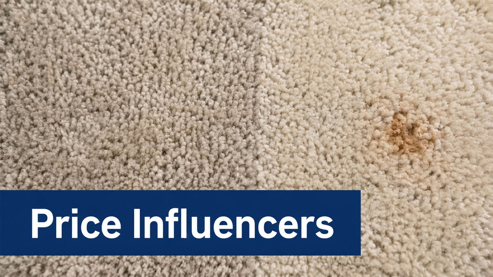 A close-up view of a light-colored carpet featuring a visible brown stain and the text Price Influencers.