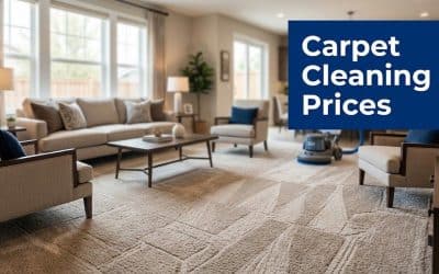 Carpet Cleaning Prices Near Me UK Price Guide